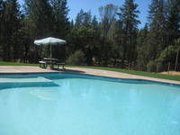 Pool 1